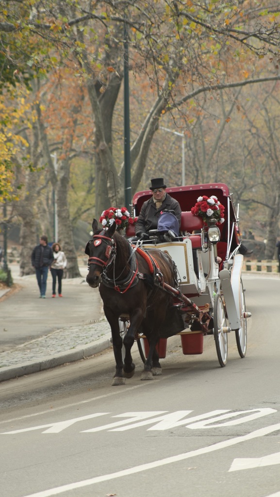 New-York City - Central Park - Fuji XT-1 - Canon 35-105 f/3.5 lens with Fotasy adapter 